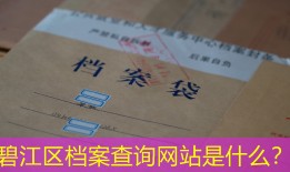 碧江区档案查询网站是什么？