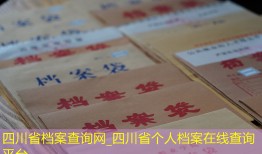 四川省档案查询网_四川省个人档案在线查询平台