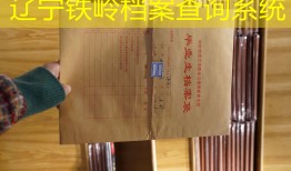 辽宁铁岭档案查询系统