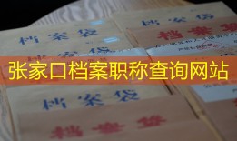 张家口档案职称查询网站