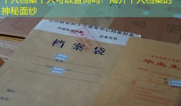 个人档案个人可以查询吗？揭开个人档案的神秘面纱