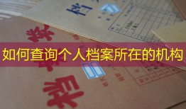 如何查询个人档案所在的机构