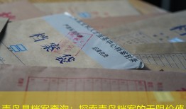 青岛是档案查询：探索青岛档案的无限价值