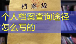 个人档案查询途径怎么写的