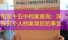 阳泉十五中档案查询：深入探究个人档案背后的事宜
