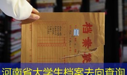 河南省大学生档案去向查询