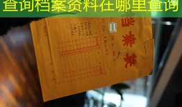 查询档案资料在哪里查询