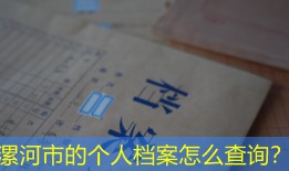 漯河市的个人档案怎么查询？