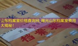 山东档案室价格查询网_曝光山东档案室费用大揭秘！