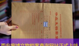 西安废墟文物档案查询网站正式上线