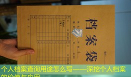 个人档案查询用途怎么写——深挖个人档案的价值与应用