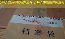赤峰人力资源网档案查询_赤峰人事档案快捷查询