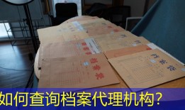 如何查询档案代理机构？