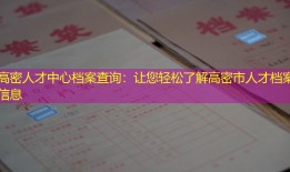 高密人才中心档案查询：让您轻松了解高密市人才档案信息