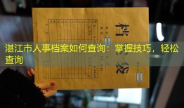 湛江市人事档案如何查询：掌握技巧，轻松查询