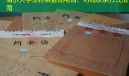 衡水大学生档案查询电话、热线联系方式指南