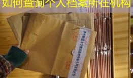 如何查询个人档案所在机构