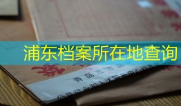 浦东档案所在地查询
