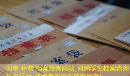 河南 补课 档案查询网站_河南学生档案查询补充平台-快速查阅学生档案信息！