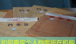 如何查询个人档案所在机构