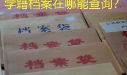 学籍档案在哪能查询？
