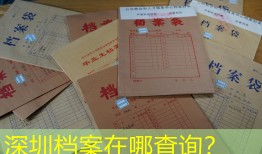 深圳档案在哪查询？
