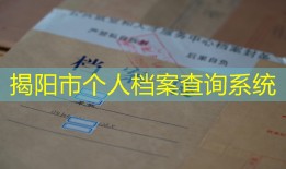 揭阳市个人档案查询系统