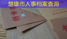 楚雄市人事档案查询