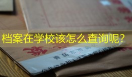 档案在学校该怎么查询呢？