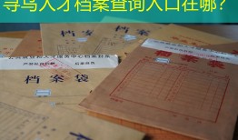 寻乌人才档案查询入口在哪？