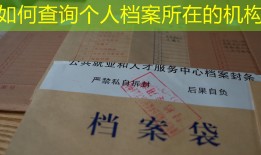 如何查询个人档案所在的机构