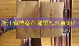 浙江省档案在哪里怎么查询？