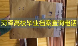 菏泽高校毕业档案查询电话