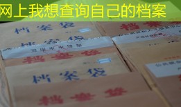 网上我想查询自己的档案