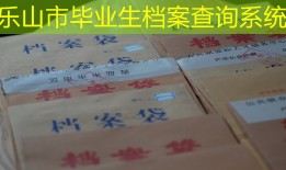 乐山市毕业生档案查询系统