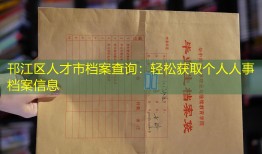 邗江区人才市档案查询：轻松获取个人人事档案信息