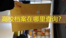 高校档案在哪里查询？