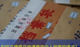 如何正确提交申请查询个人档案的请求？