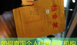 如何查询个人档案所在机构