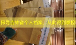 探寻吉林省个人档案，从此得到掌控
