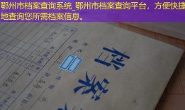 鄂州市档案查询系统_鄂州市档案查询平台，方便快捷地查询您所需档案信息。