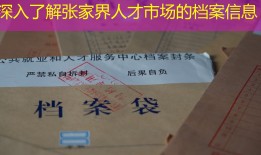 深入了解张家界人才市场的档案信息
