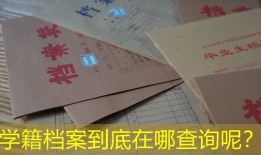 学籍档案到底在哪查询呢？