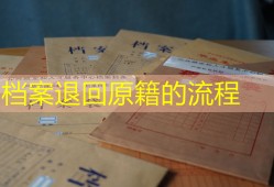 档案退回原籍的流程