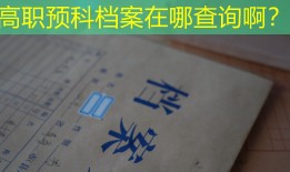 高职预科档案在哪查询啊？