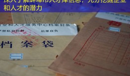 深入了解蚌埠市人才库信息，充分挖掘企业和人才的潜力
