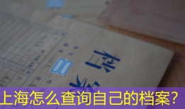 上海怎么查询自己的档案？