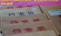 沈阳职工档案怎么查询：掌握查询方法完成资料查阅