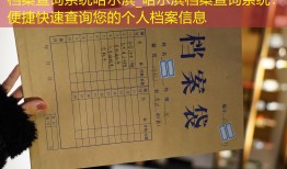 档案查询系统哈尔滨_哈尔滨档案查询系统：便捷快速查询您的个人档案信息