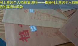 网上查询个人档案靠谱吗——揭秘网上查询个人档案背后的真相与风险